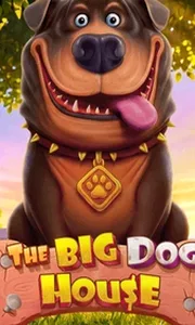 The Big Dog House